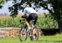 Fahrradtrikot Ratgeber und Test